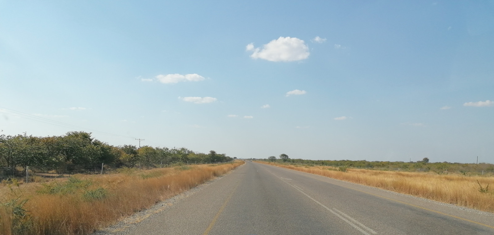 Typische Landschaft im Süden von Botswana.
