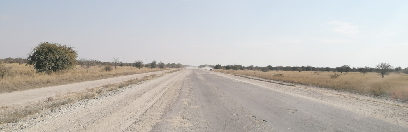 Manchmal fährt man besser neben der Straße.