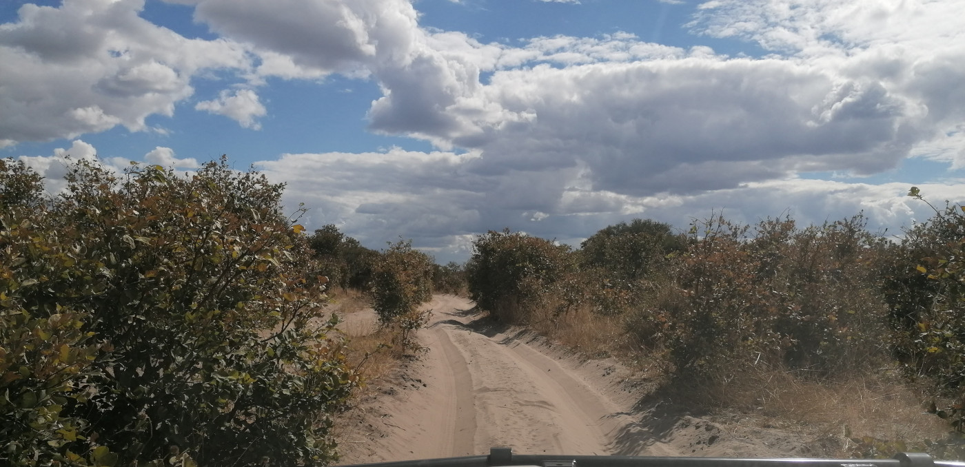 Im Chobe Nationalpark.