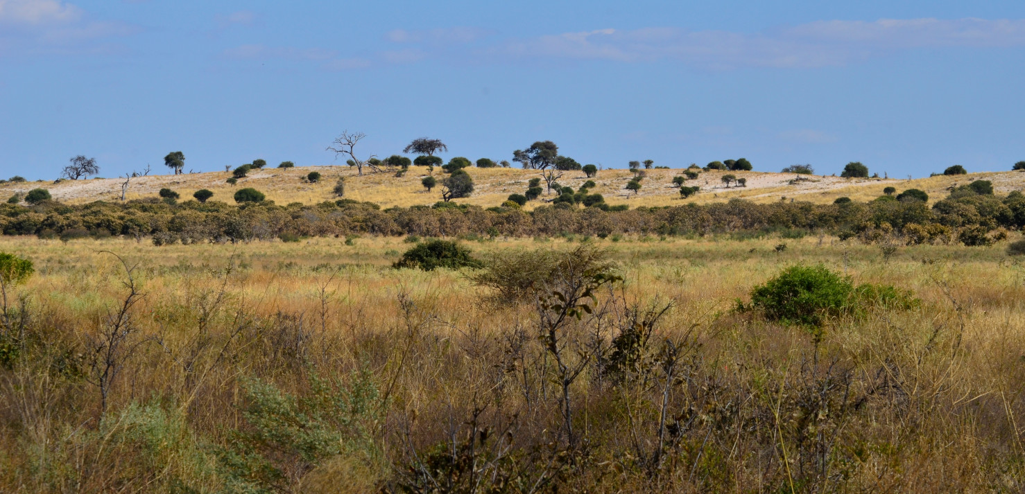 Magwikhwe Sandrücken.