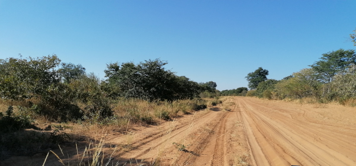 Die Hauptstraße nach Kasane.