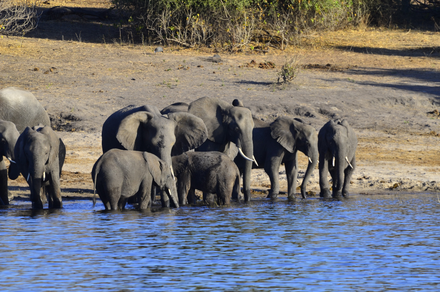 Warten vor der Flussdurchquerung.