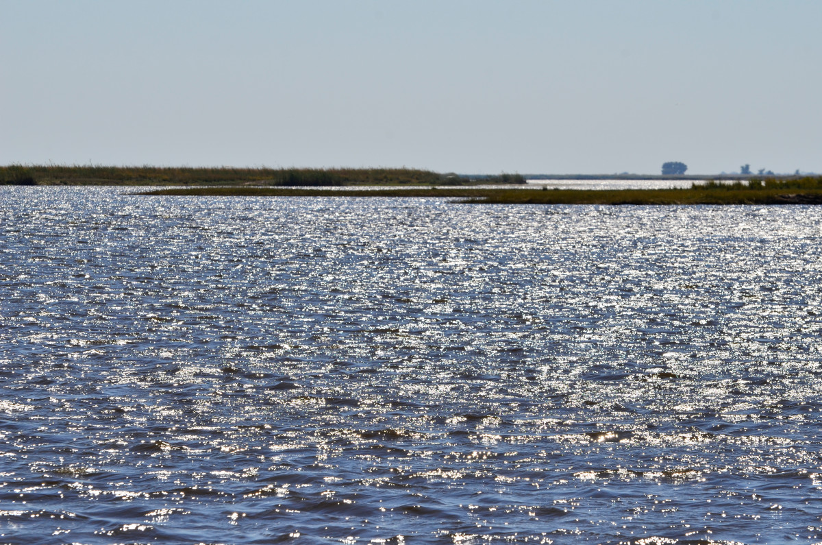 Flusslandschaft am Nachmittag.