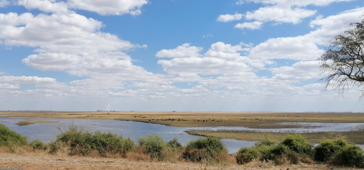Der Chobe-Fluss bildet die Grenze zwischen Namibia und Botswana.