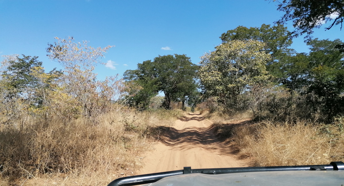 Auf dem Weg zum Ghoha North Gate.