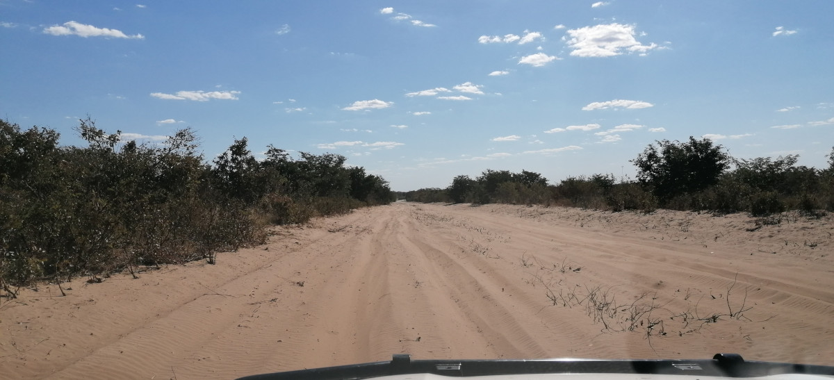 Guter Pistenabschnitt nach Linyanti.