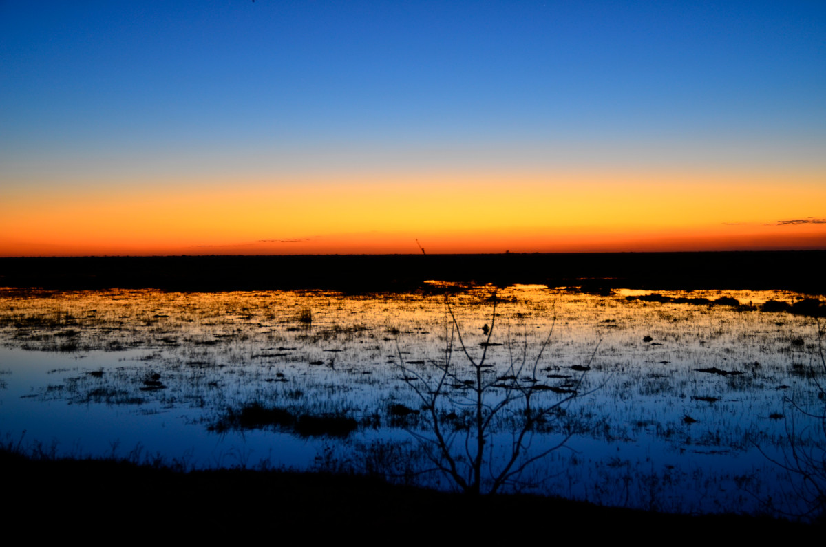 Afrikanische Abenddämmerung.