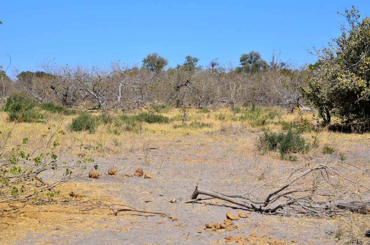 Nachbarschaft des Camps.
