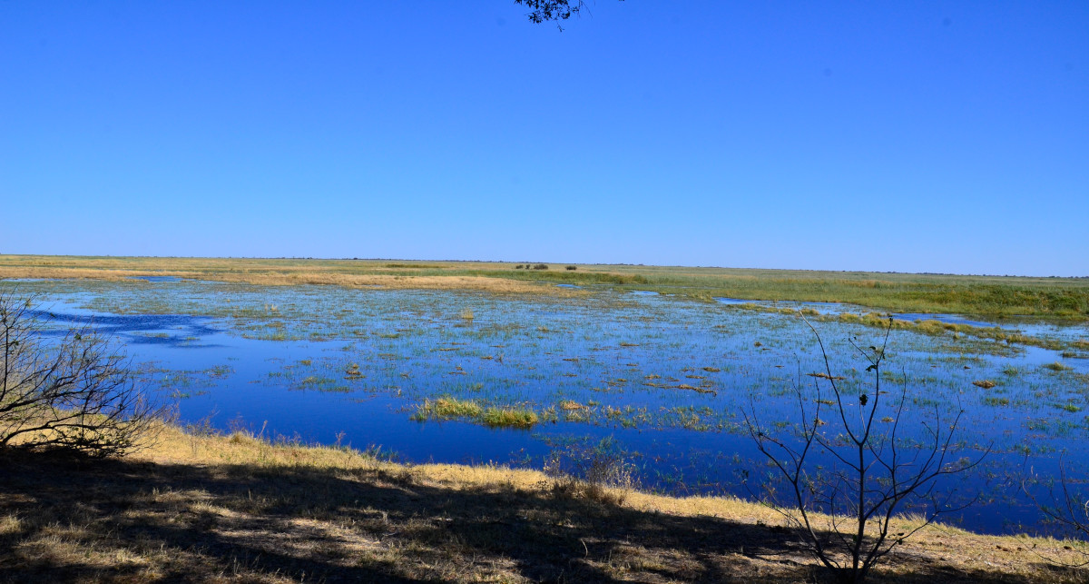 Blick auf den Linyanti.