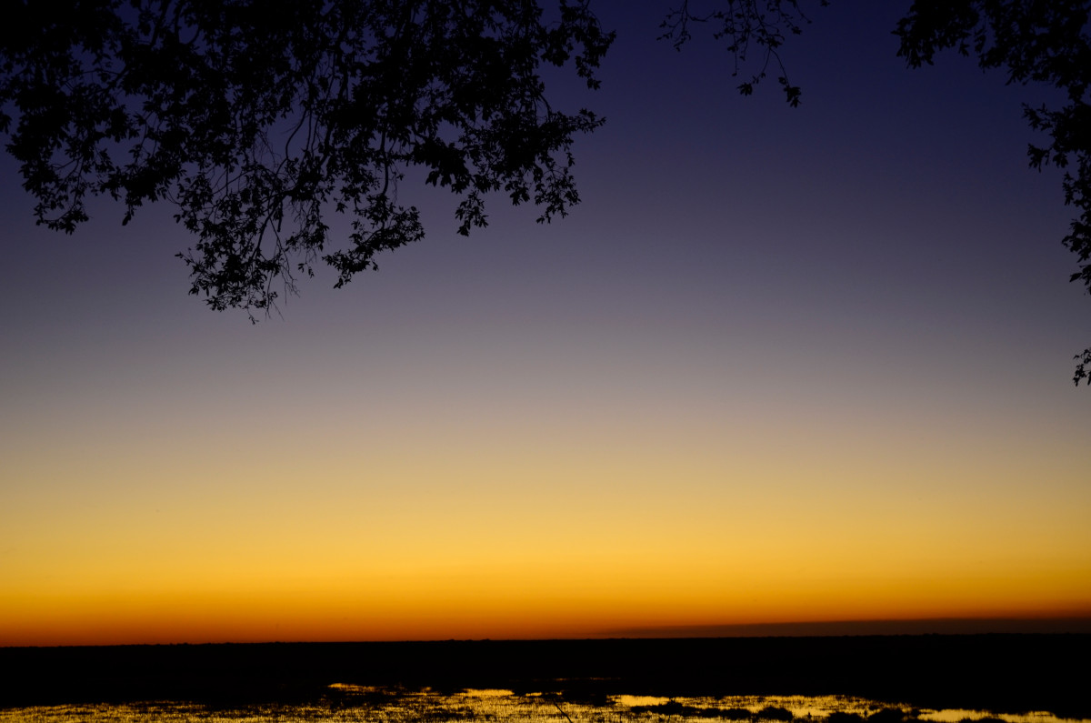 Abenddämmerung am Linyanti.