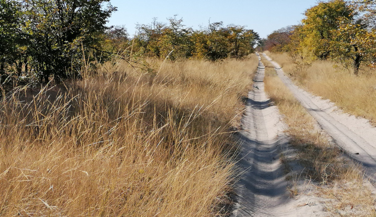 Die empfohlene parallele Spur.