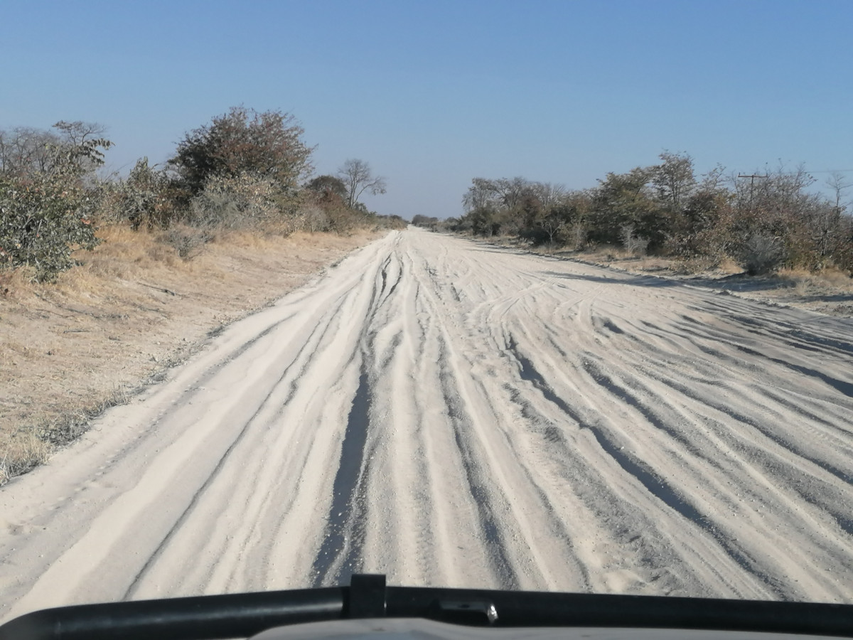 Straße nach Maun.