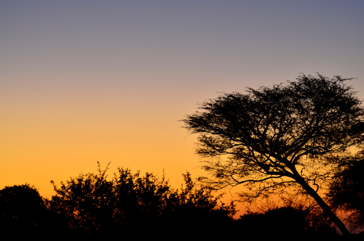 Sonnenuntergang in Khumaga.