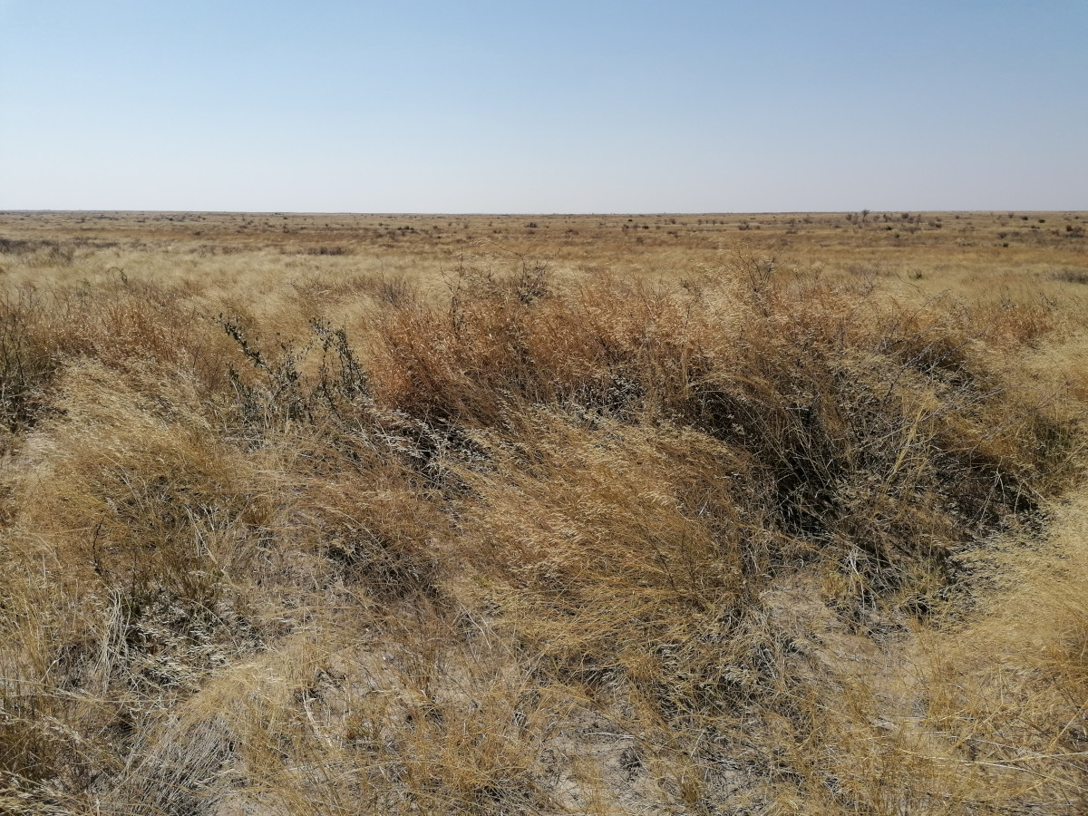 Blick in Richtung der Salzpfannen.