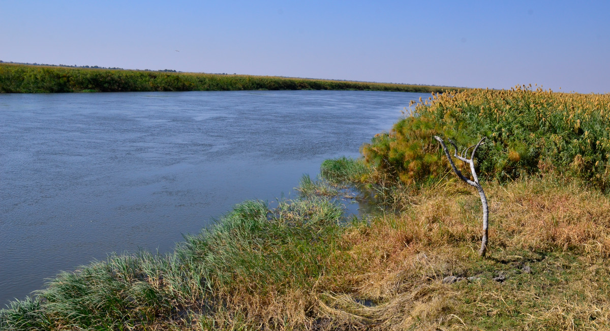Am Okawango.