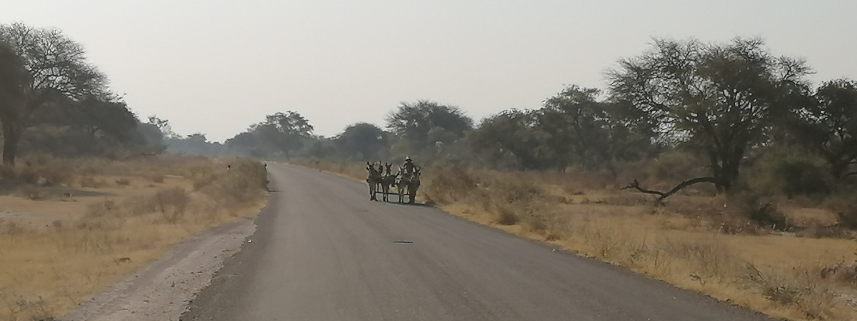 Eselskarren auf der Strecke.