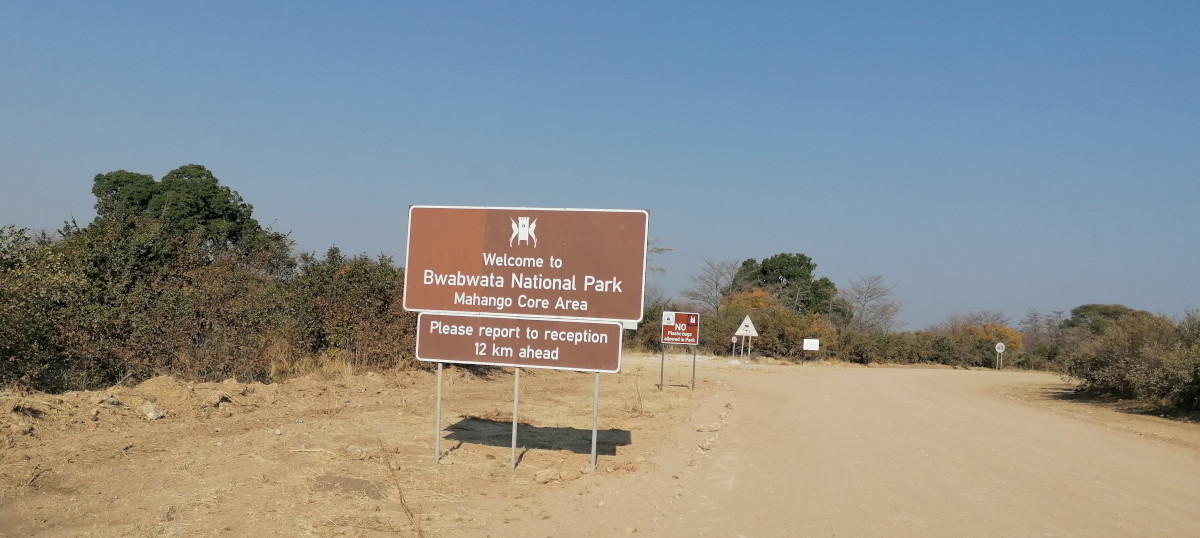 Im Caprivi Streifen.