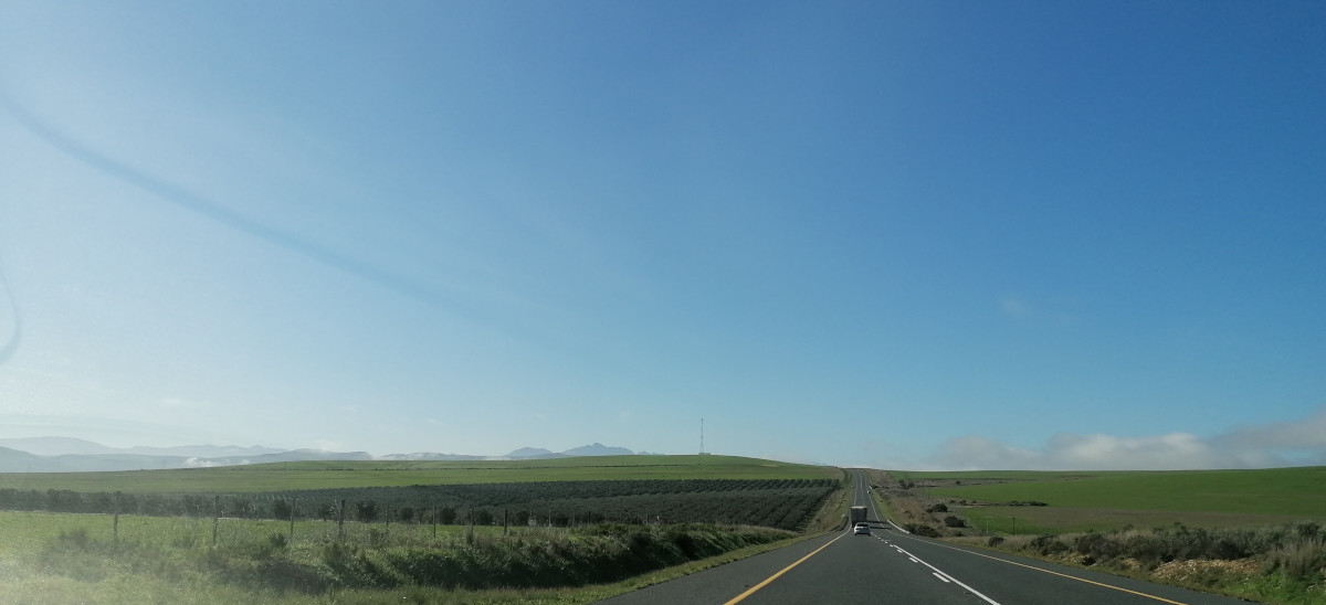 Manchmal ist es grün wie bei uns ...