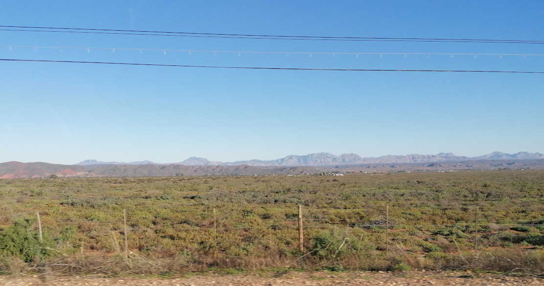 Das Land der großen Straußenfarmen zwischen Oudtshoorn und Calitzdorp.