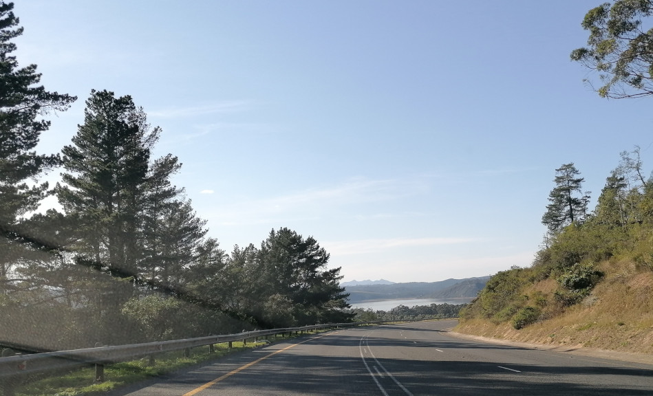 In der Gegend von Knysna.
