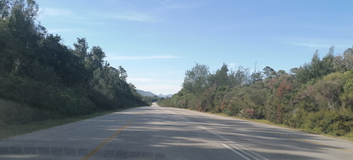 Staatsstraße durch den Tsitsikamma Nationalpark.