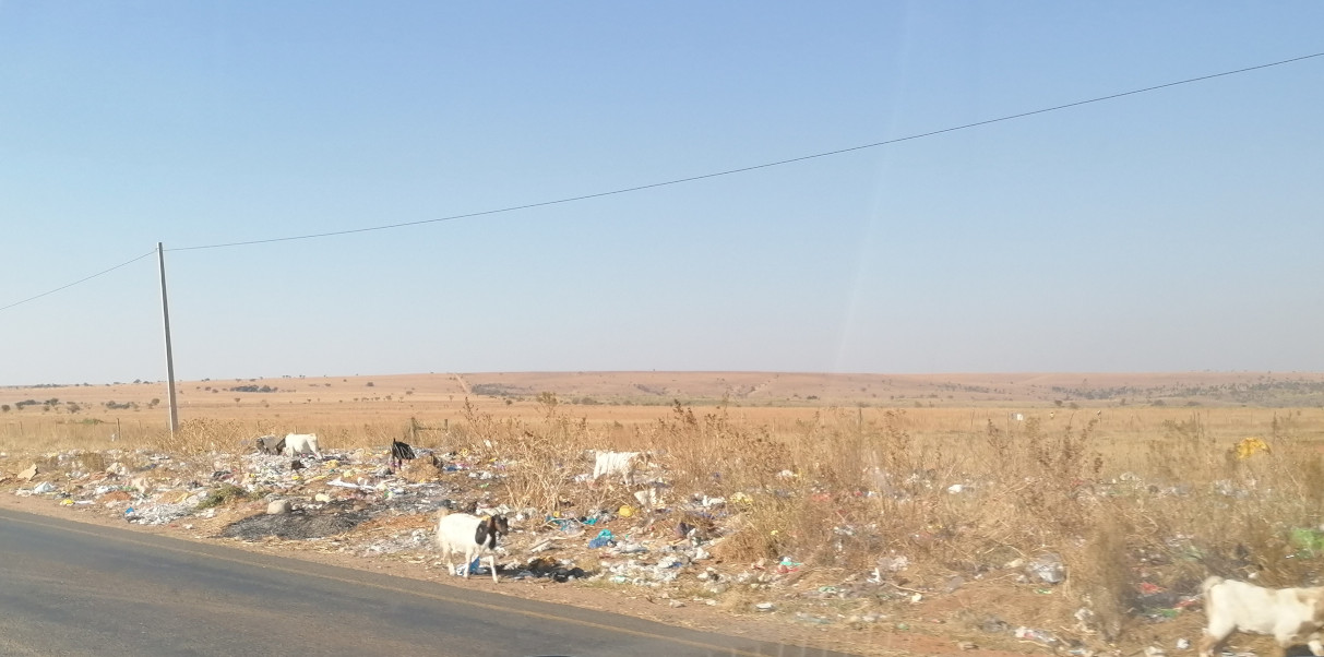 Müllbeseitigung auf afrikanisch ...