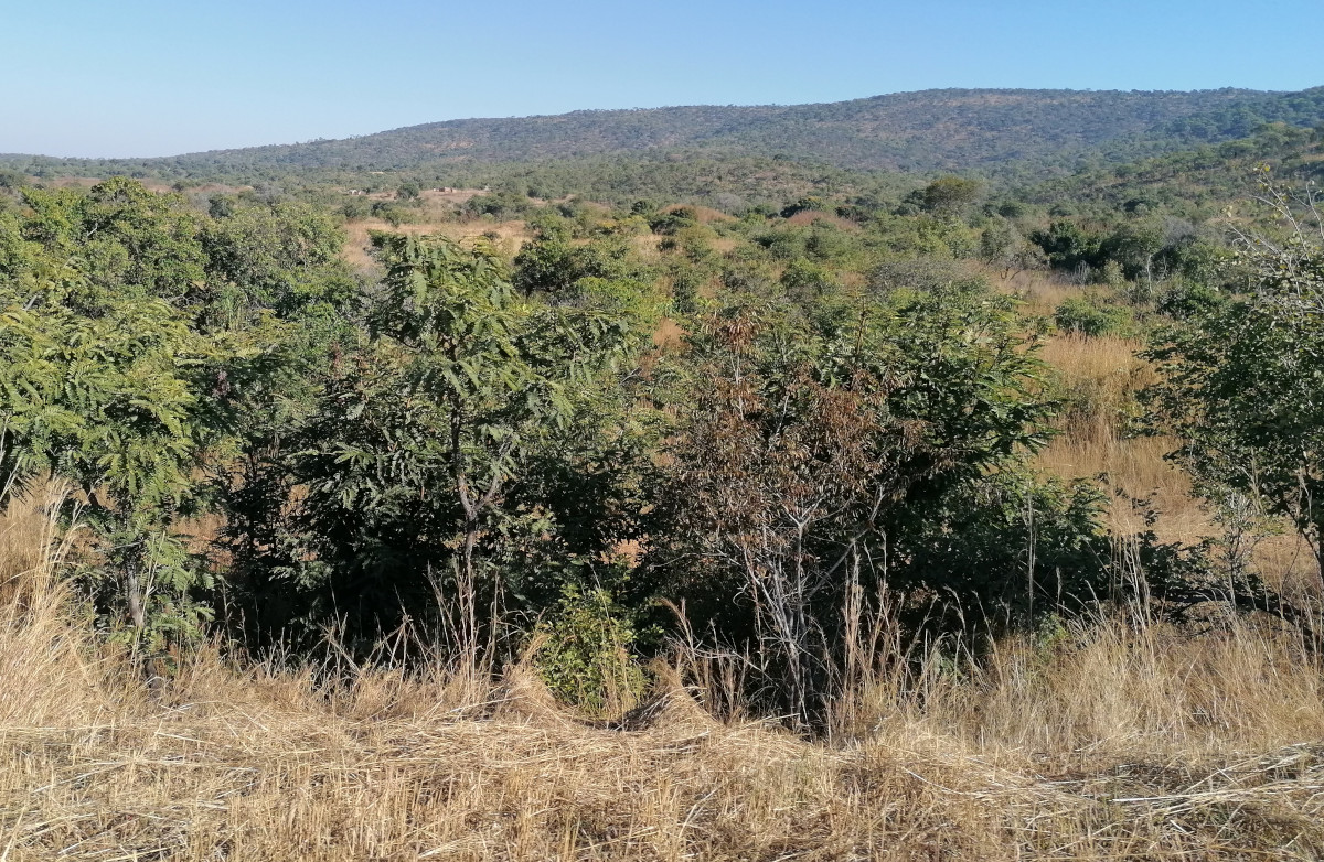 Landschaft auf dem Weg nach Chipata.