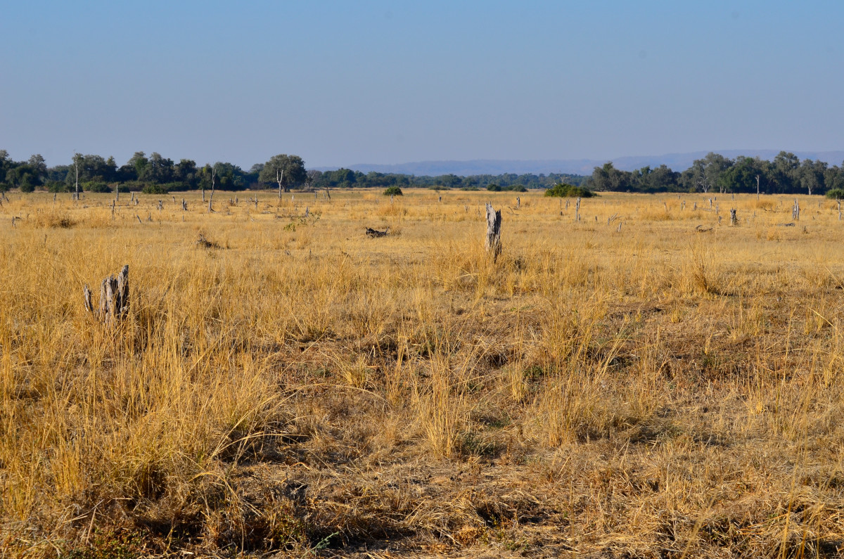 Landschaftsaufnahme.