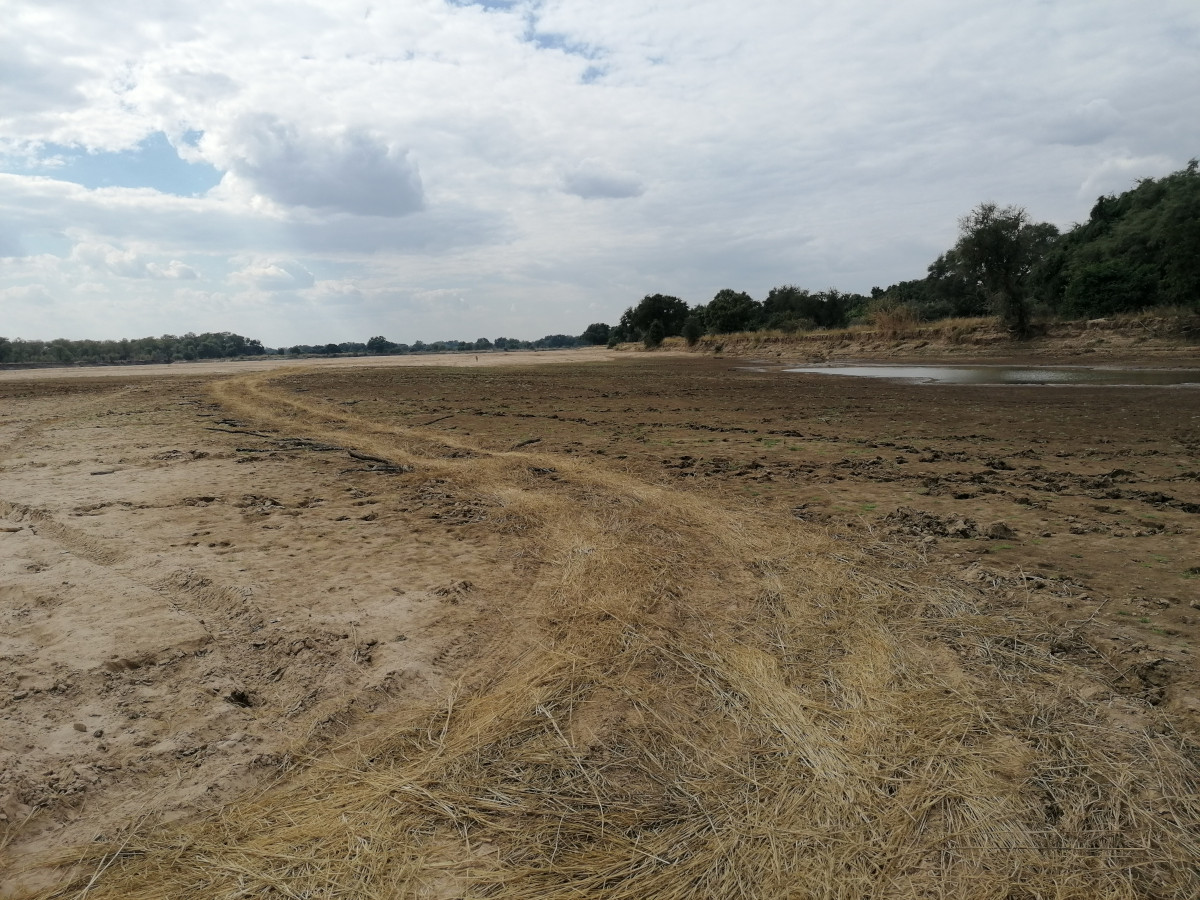 Entlang der Büschelroute aus Buschgras geht es dann bis zur Anlegestelle.