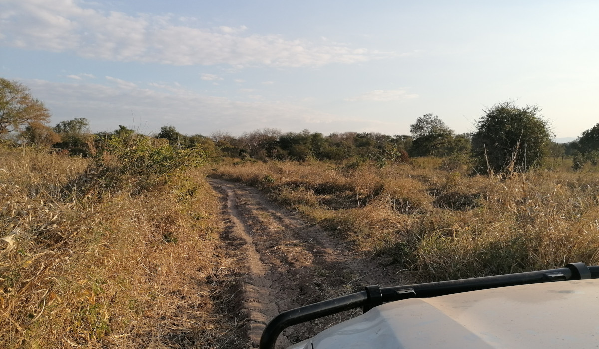 Kurz vor Sonnenuntergang.