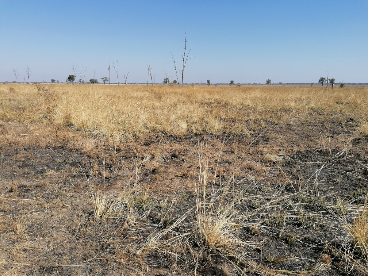 Landschaft im Nsefu Sektor.