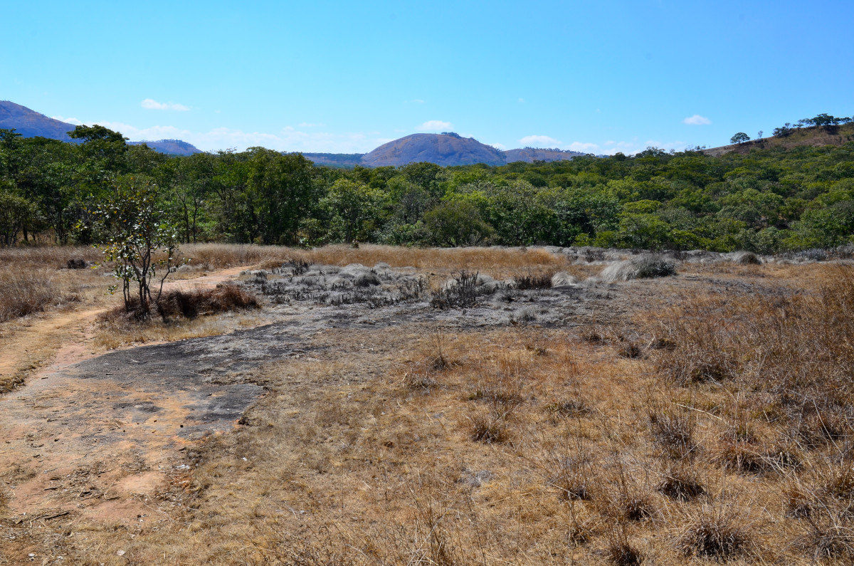 Mutinondo Wilderness Area.