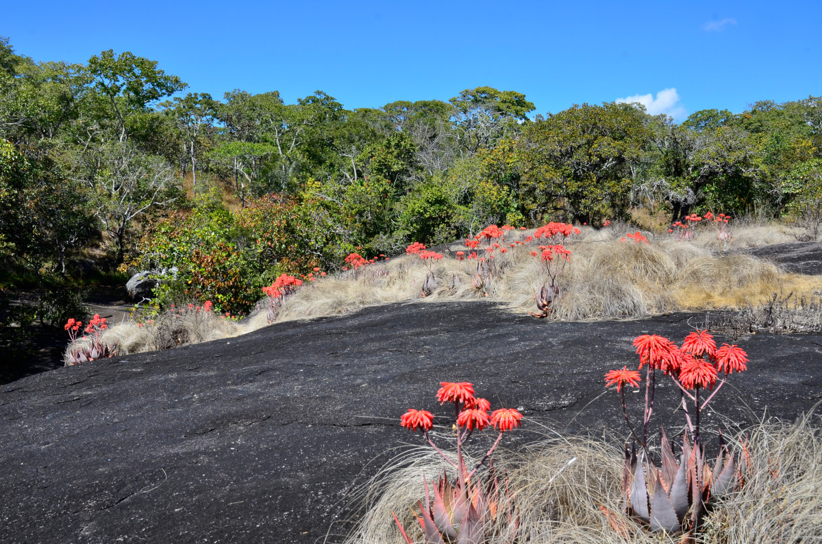 Mutinondo Wilderness Area.
