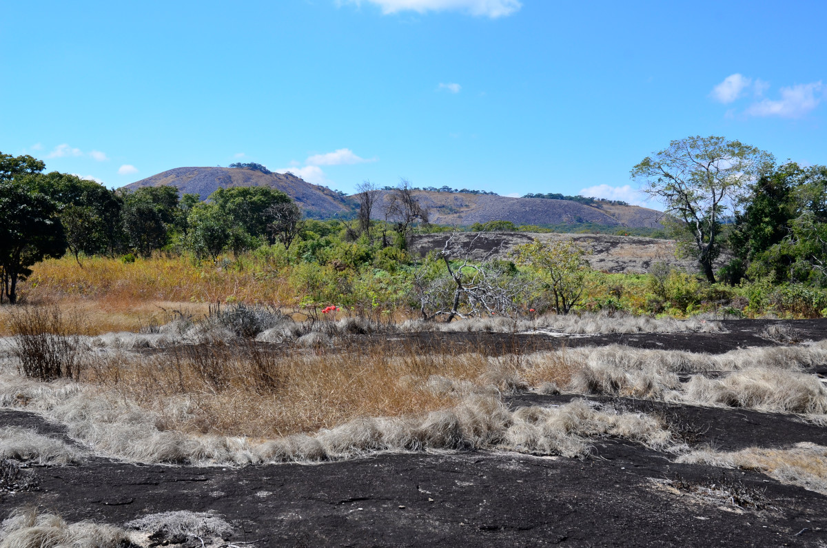 Mutinondo Wilderness Area.