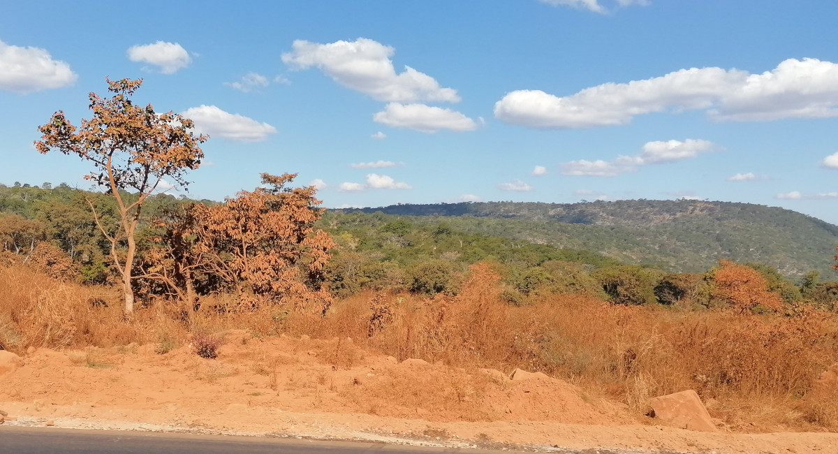 Schmutzige Farbenpracht.