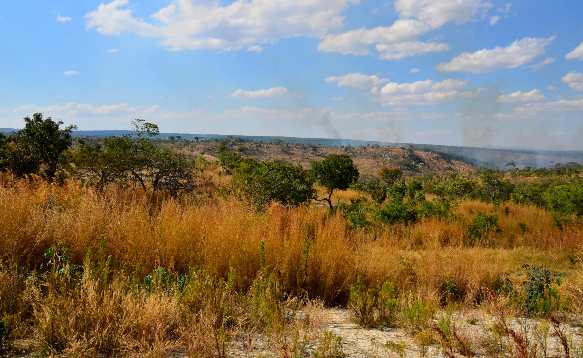Landschaft im äußersten Norden von Sambia. 