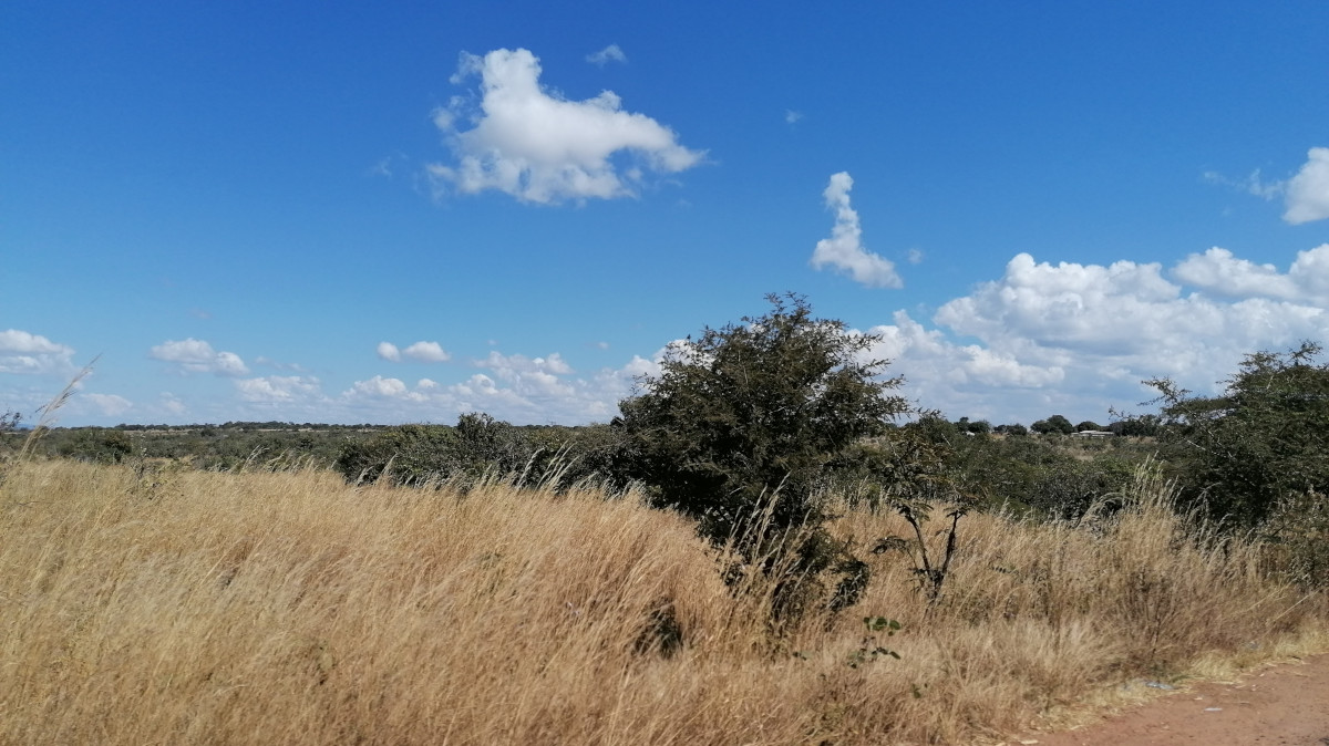 Landschaft im Norden Sambias.
