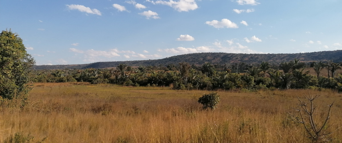 Landschaft in der Umgebung des Sees.