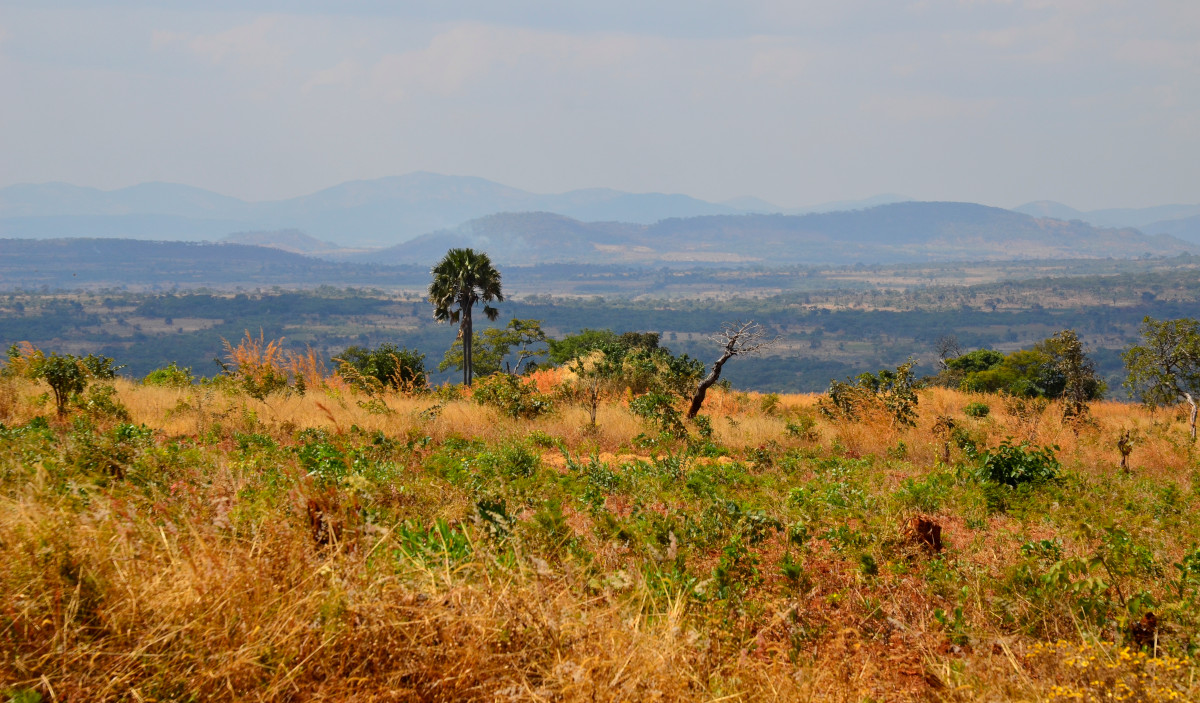 Landschaft auf dem Weg zu den Kalambo Falls.