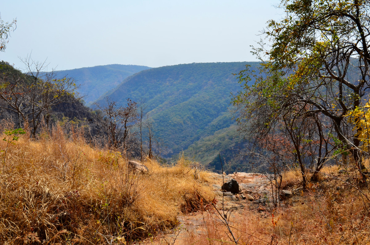 Umgebung der Kalambo Wasserfälle.