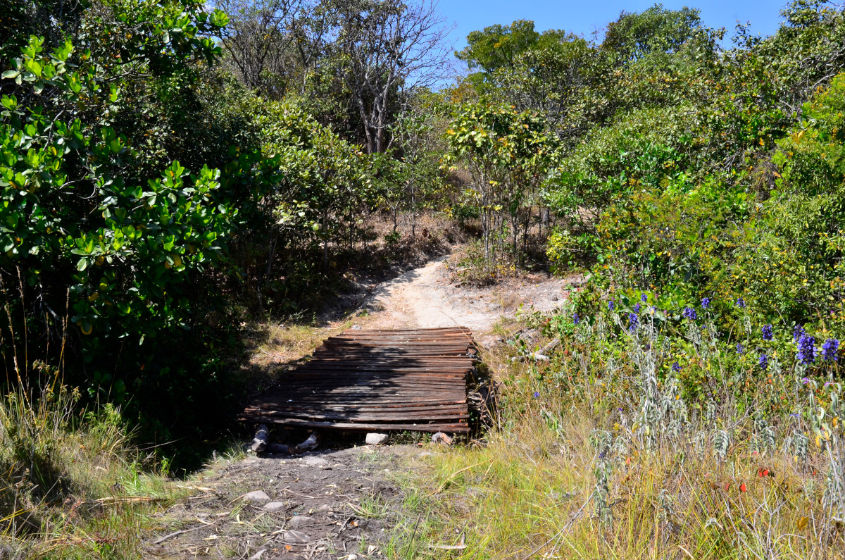 Die kleine Holzbrücke.