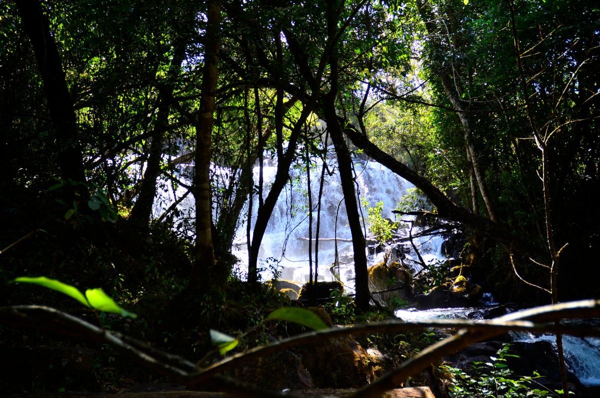 Eine zweite Perspektive von unten.