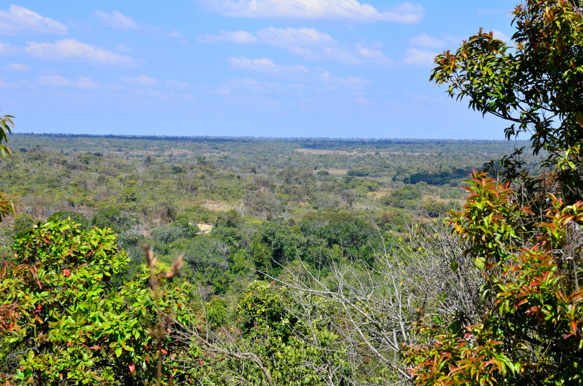 Die Landschaft von oben.