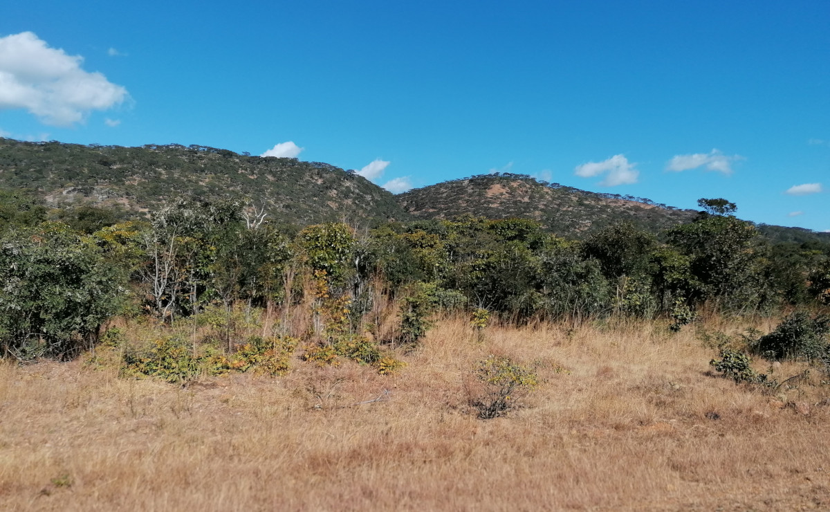 Landschaft auf dem Weg nach Mpika.