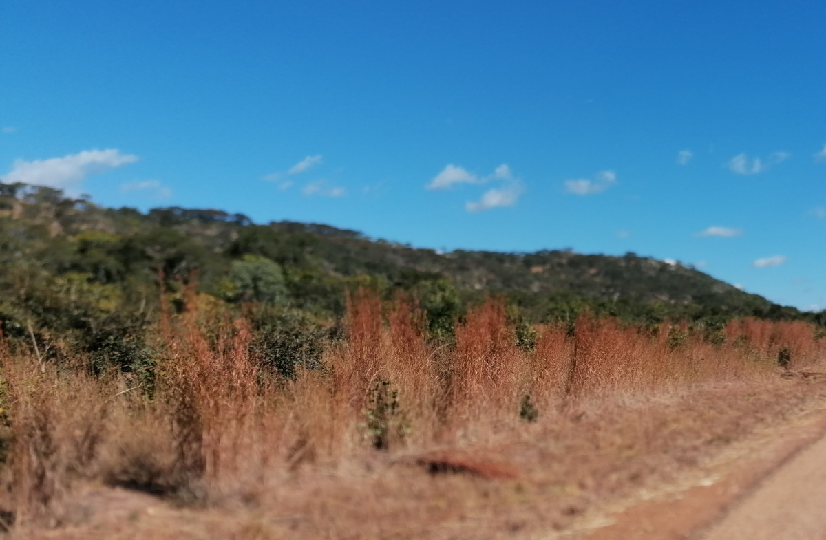 Landschaft auf dem Weg nach Mpika.