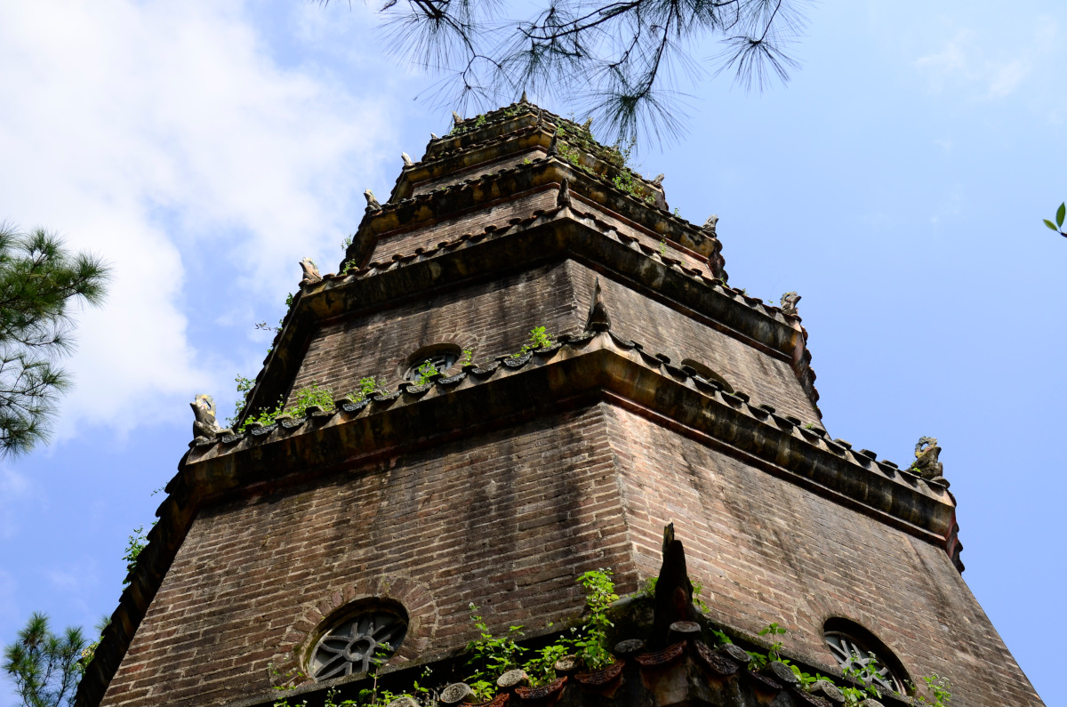 Der Turm ist auch bei Pflanzen sehr beliebt