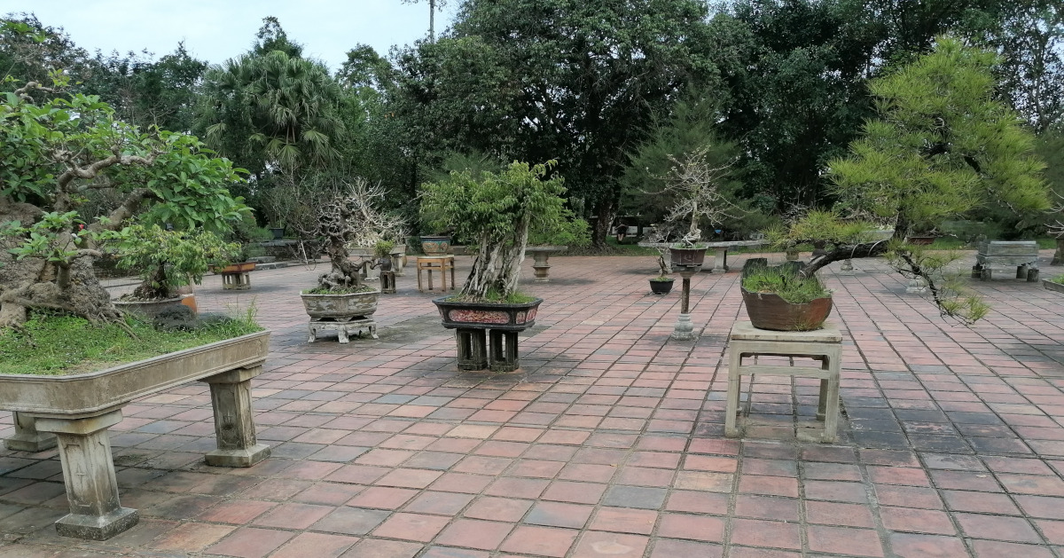 Garten mit Bonsaibäumchen