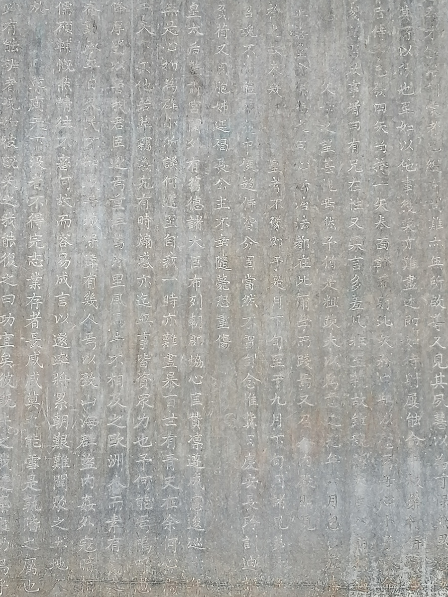 die Lebensgeschichte